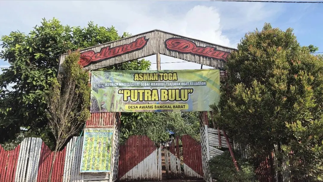 Kebun Toga
